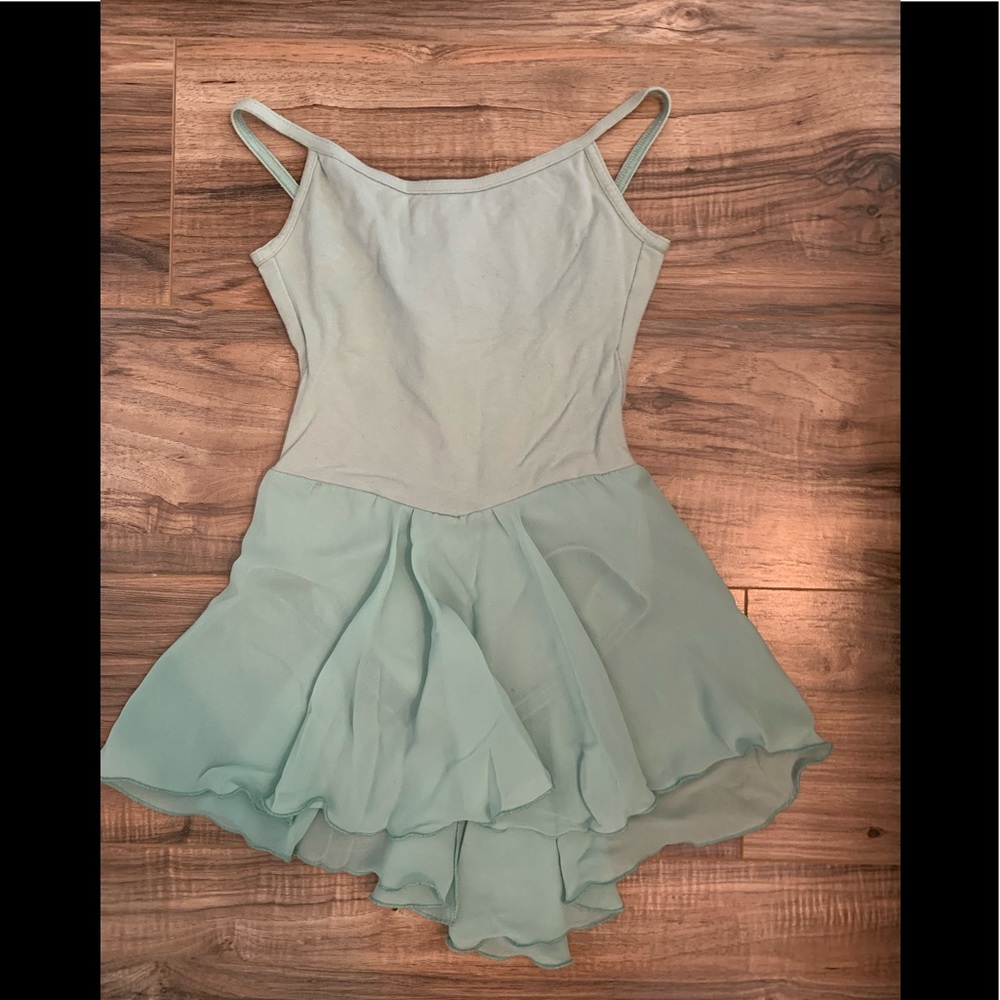 Leotard with attached skirt